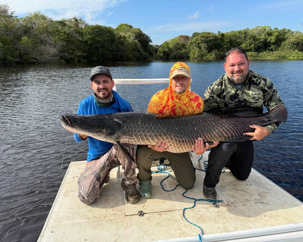 Arapaima fishing in Bolivia