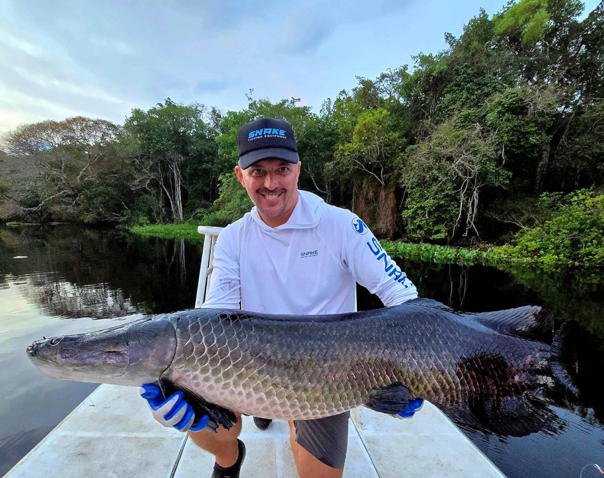Arapaima fly fishing in Bolivia