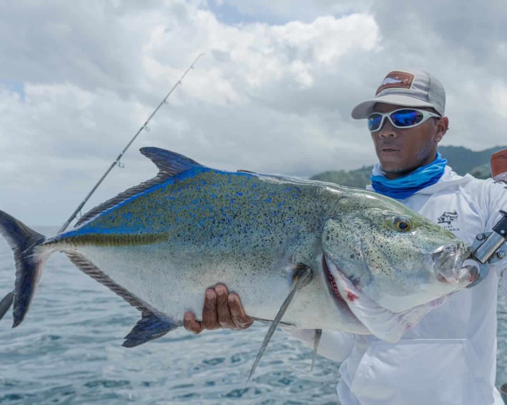 Bluefin Trevally Darien Lodge