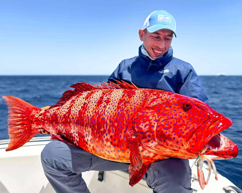 Coral Trout