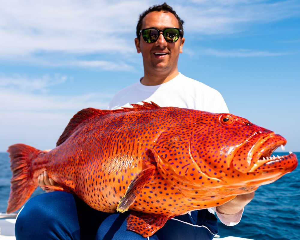 Coral Trout