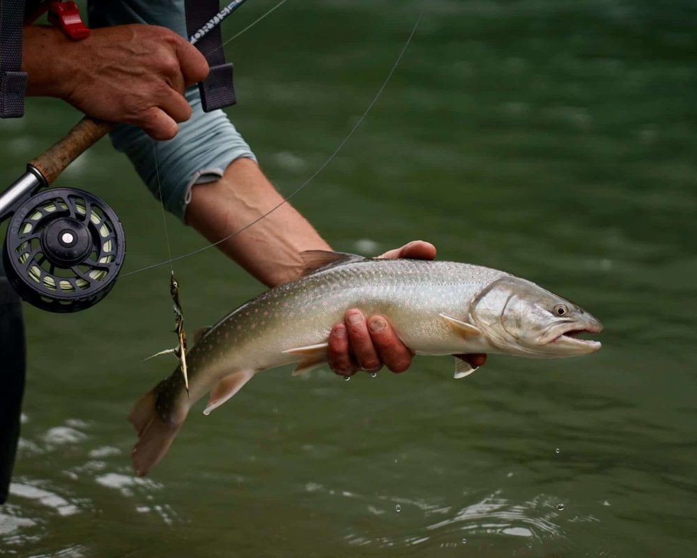 Crescent Spur fishing