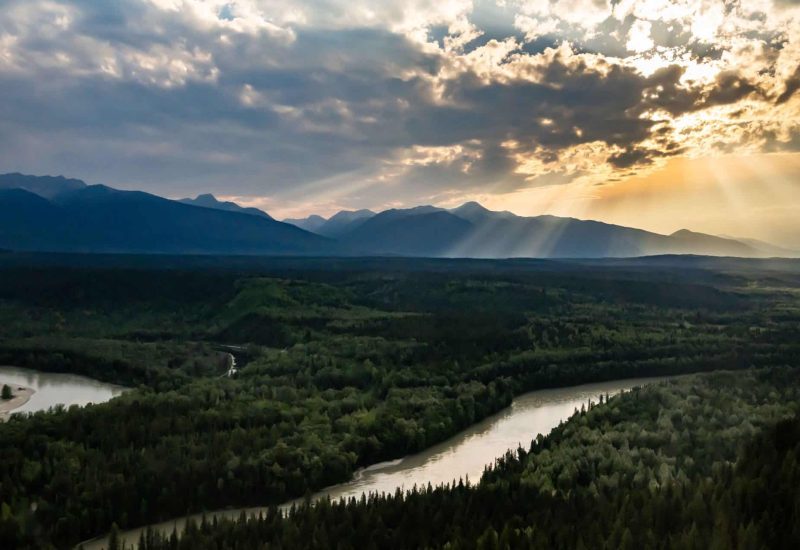 Fly fishing for Bull Trout in British Columbia