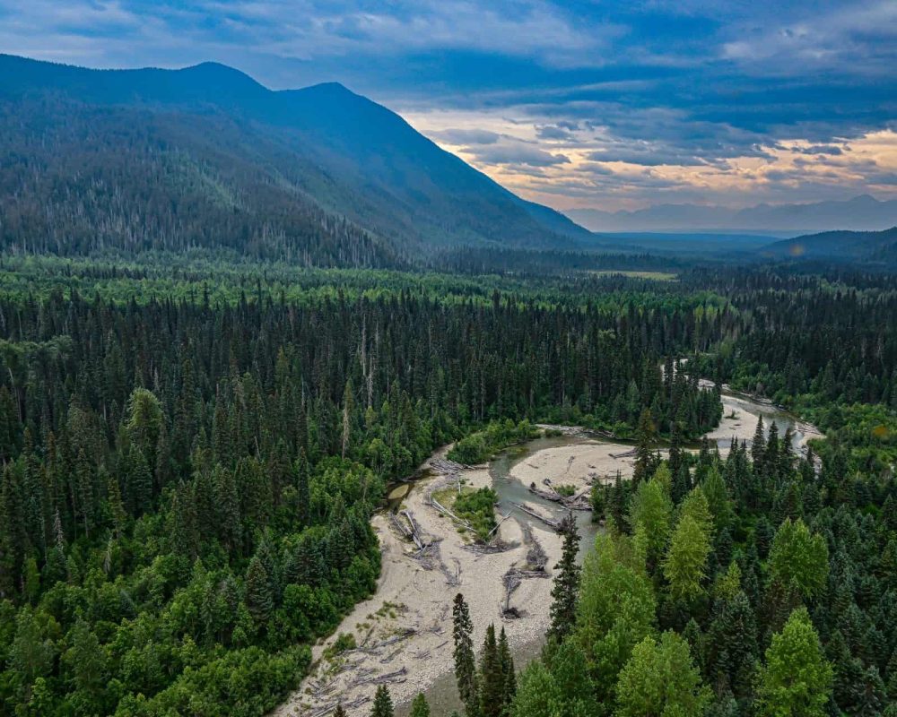 Fly fishing for Bull Trout in British Columbia