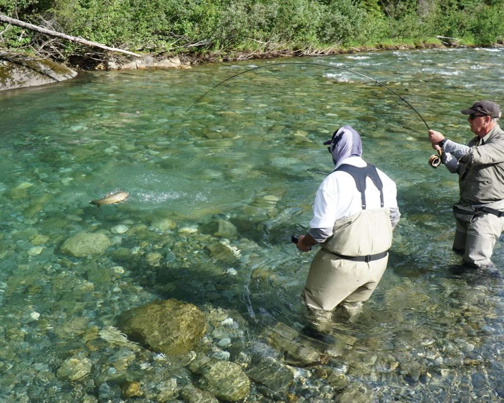 Fly fishing for Bull Trout in British Columbia