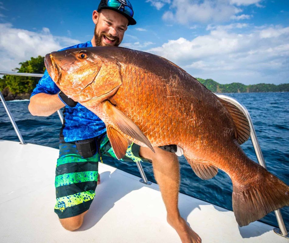 Cuberra Snapper