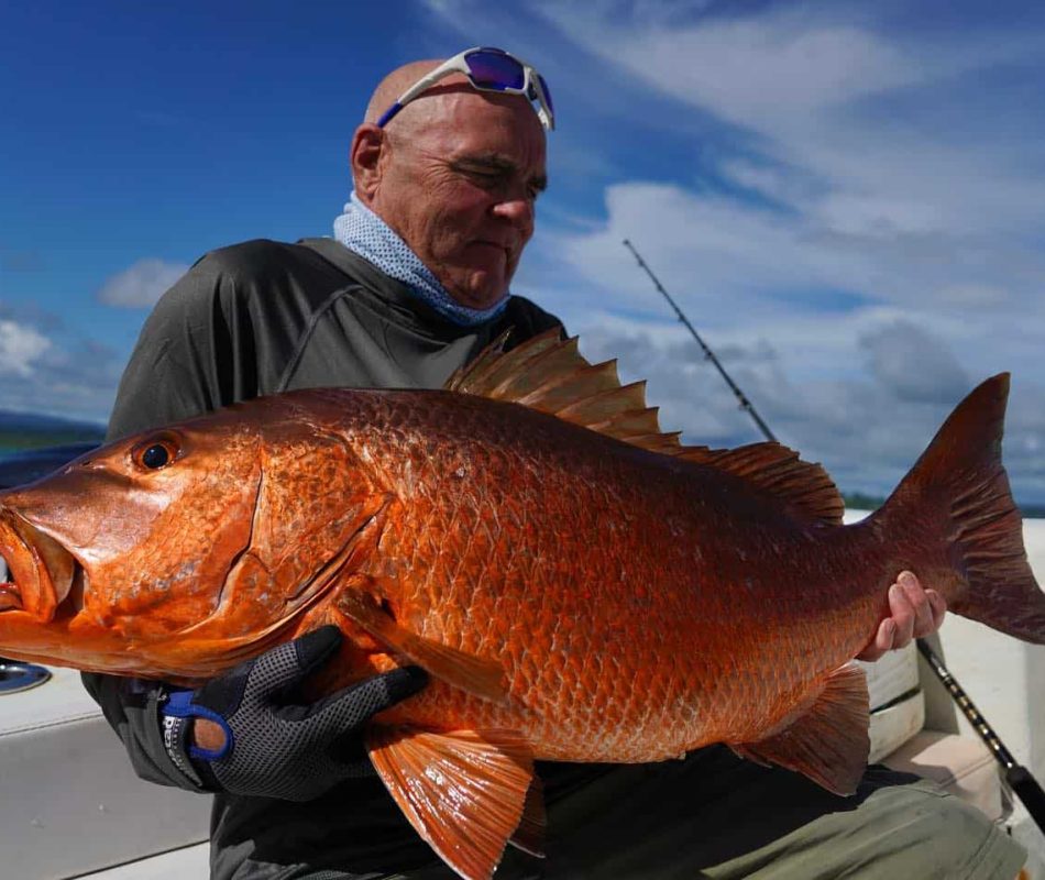 Cubera Snapper