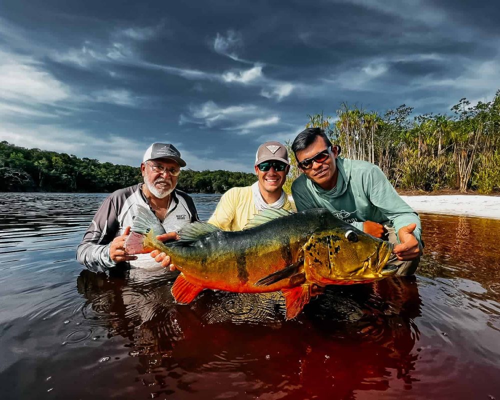 Curicuriari Peacock Bass Fishing