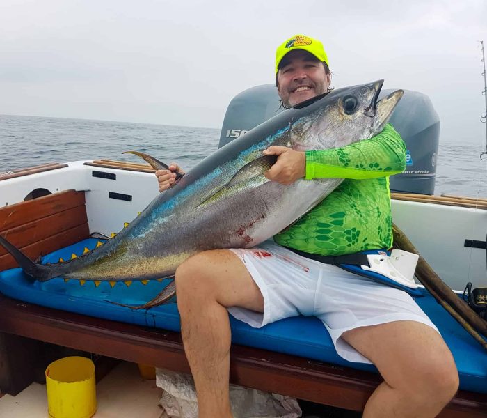 Tuna fishing during the sardine run in colombia