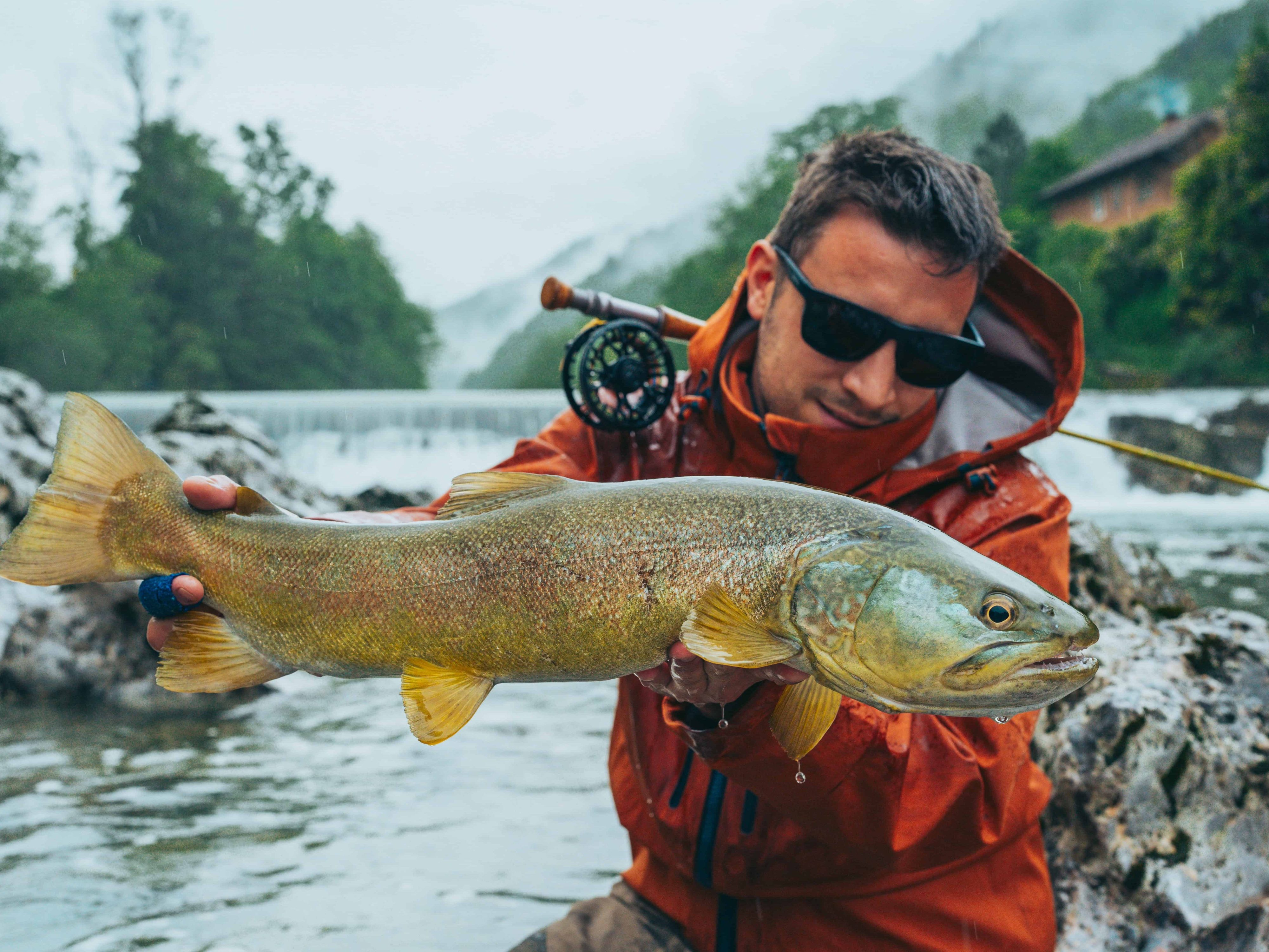 Marble trout fly fishing in slovenia