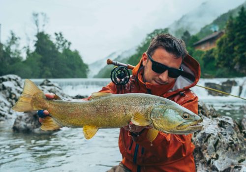 Marble trout fly fishing in slovenia