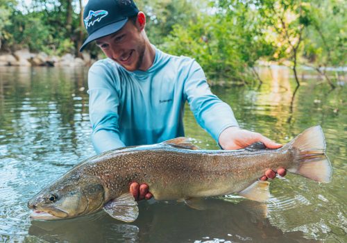 big marble trout in slovenia