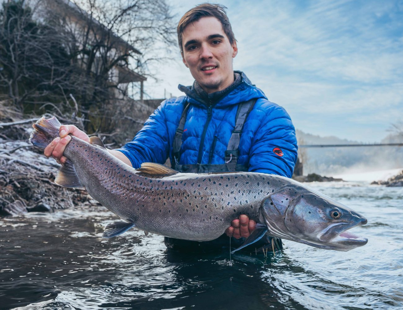 hucho hucho fishing