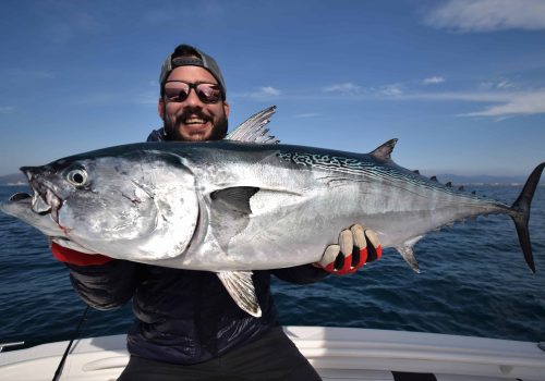 tuna fishing in the ebro delta