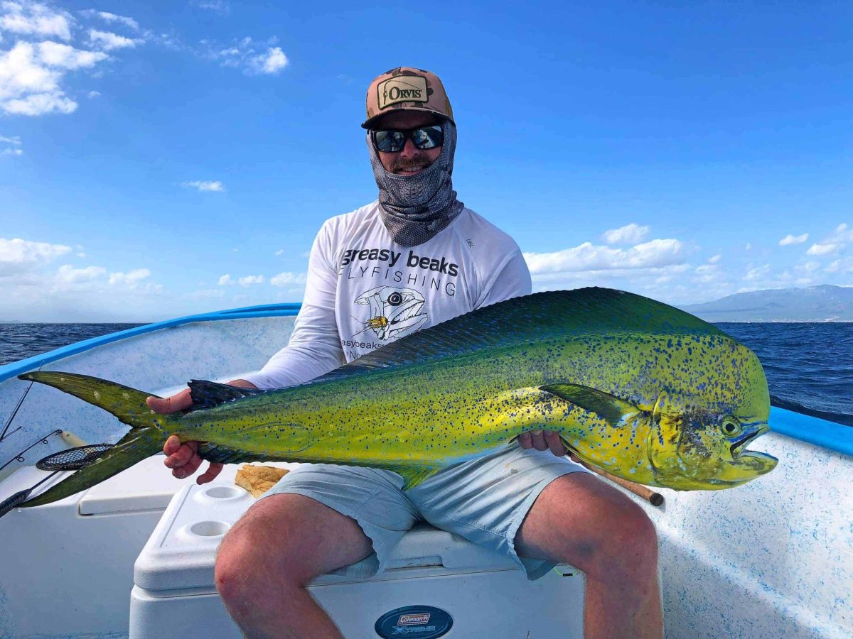mahi mahi fly fishing