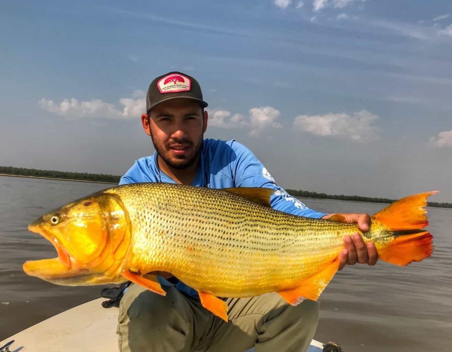 Golden Dorado - Bucket List Fishing Trips