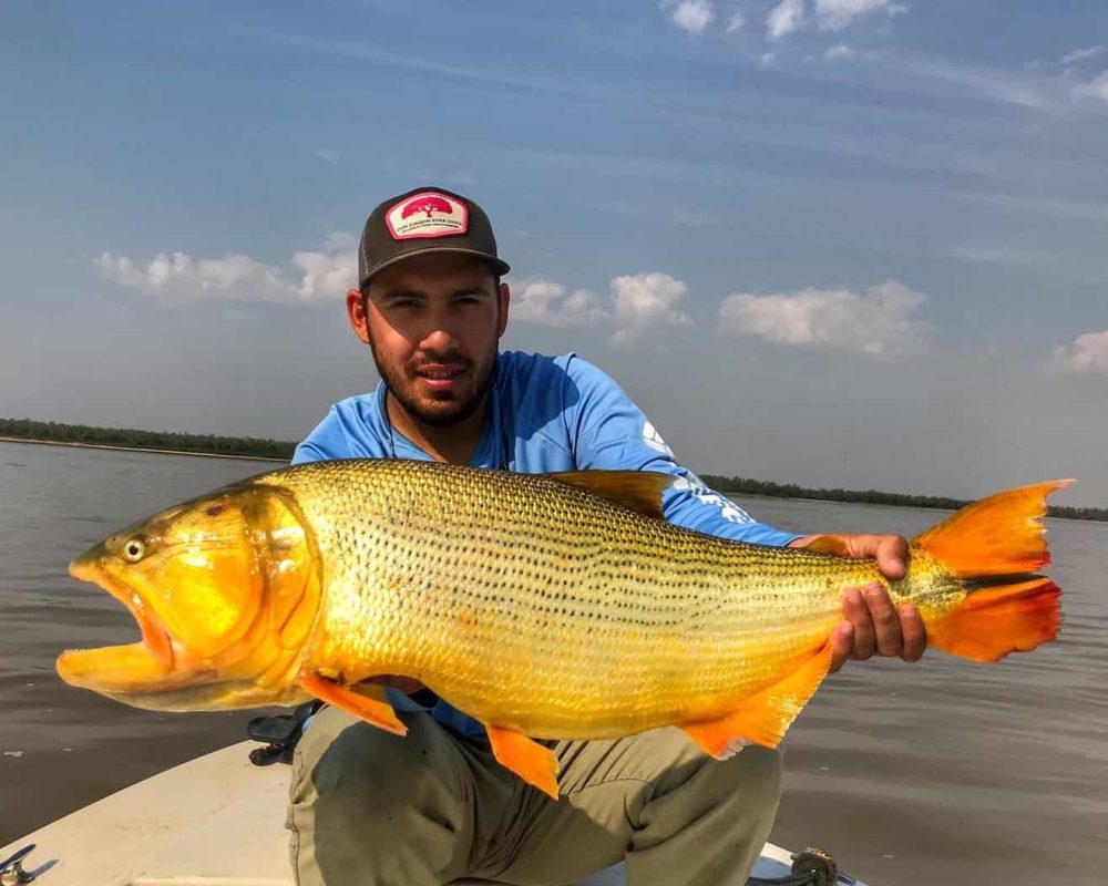 Golden Dorado - Bucket List Fishing Trips
