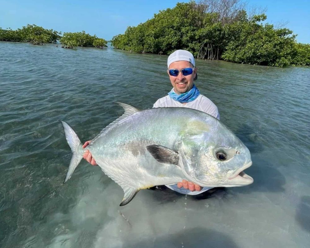 Atlantic permit