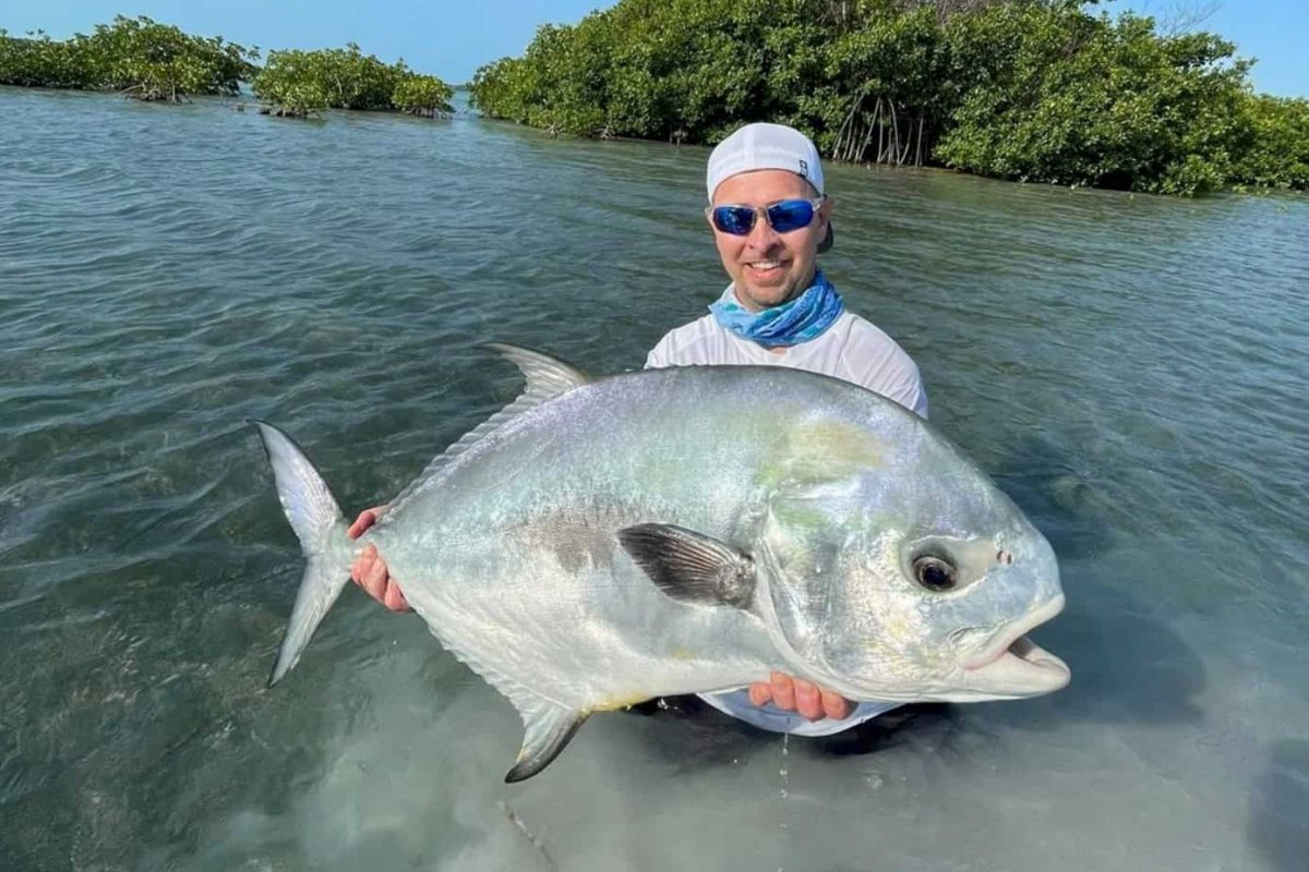 Atlantic permit