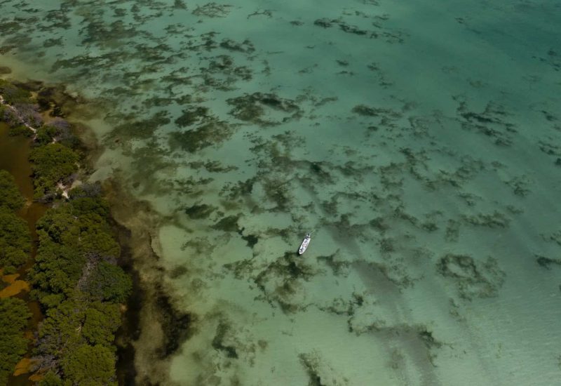 El Pescador Lodge Belize Fly Fishing