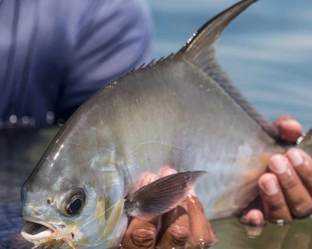 El Pescador Lodge Belize Fly Fishing