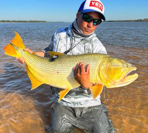 Golden Dorado - Bucket List Fishing Trips