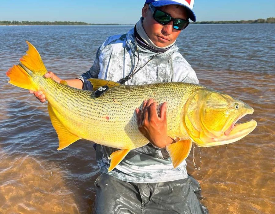Golden Dorado - Bucket List Fishing Trips