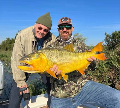 Golden Dorado - Don Joaquín River Lodge
