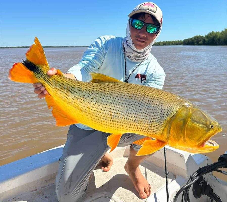 Golden Dorado - Don Joaquín River Lodge