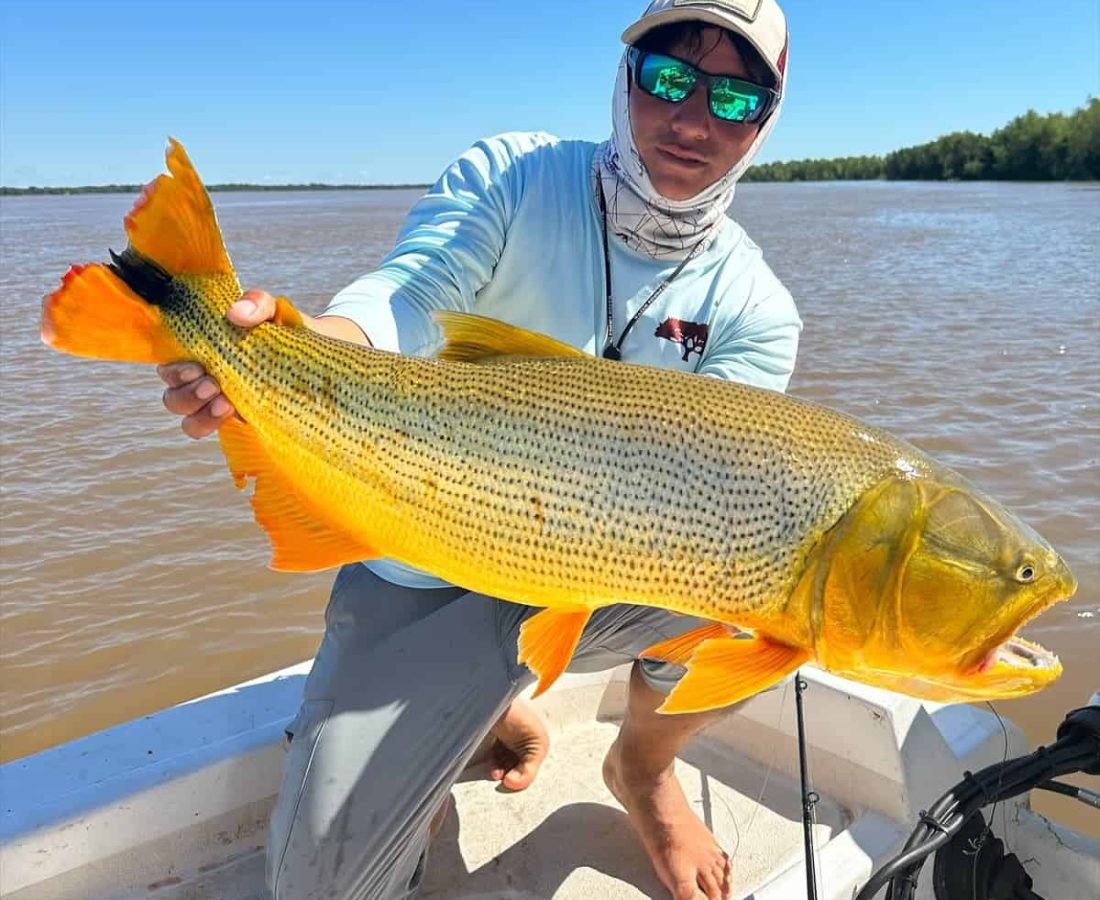 Golden Dorado - Don Joaquín River Lodge