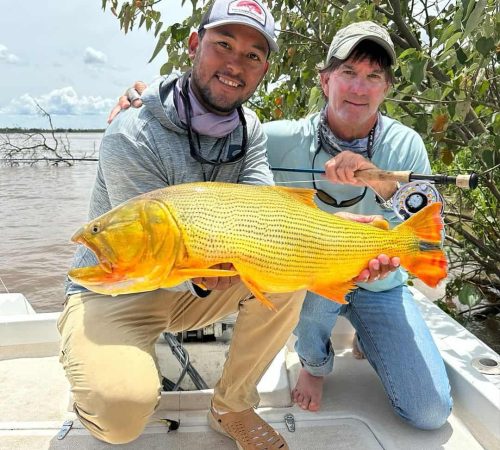 Golden Dorado - Don Joaquín River Lodge