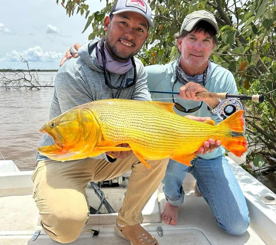 Golden Dorado - Don Joaquín River Lodge