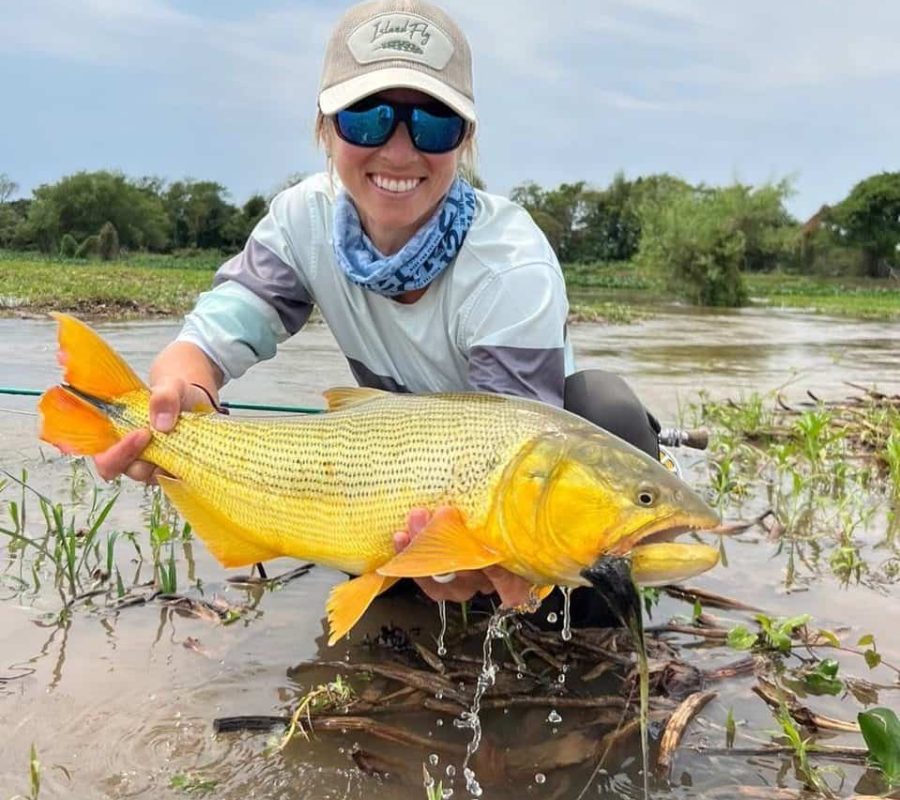 Golden Dorado - Don Joaquín River Lodge