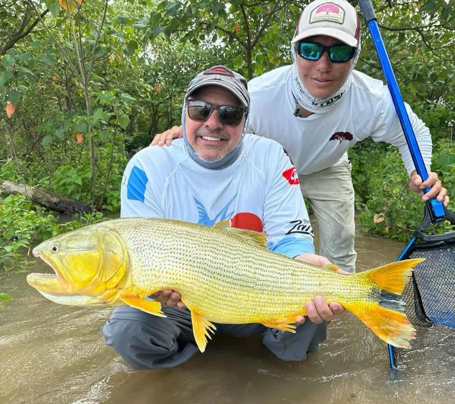 Golden Dorado - Bucket List Fishing Trips