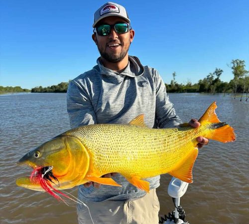 Golden Dorado - Don Joaquín River Lodge