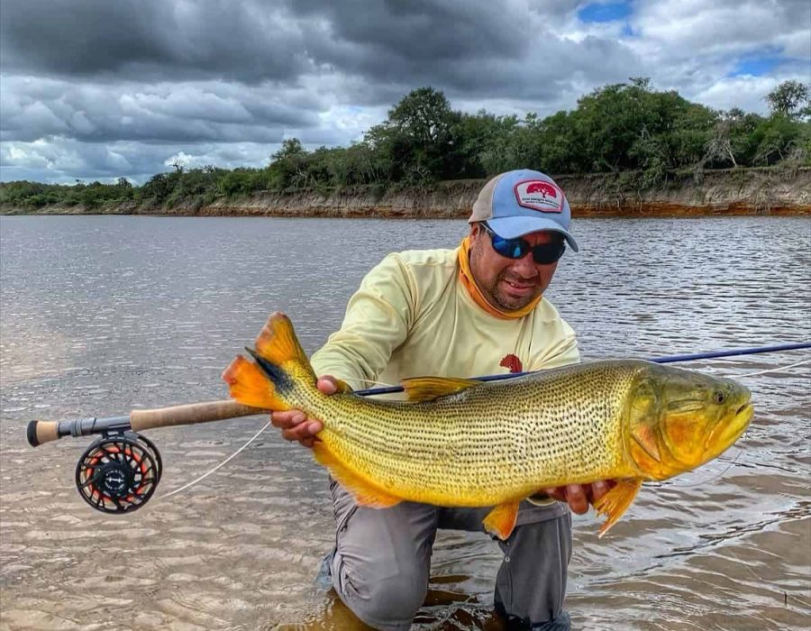 Golden Dorado Don Joaquin River Lodge Argentina