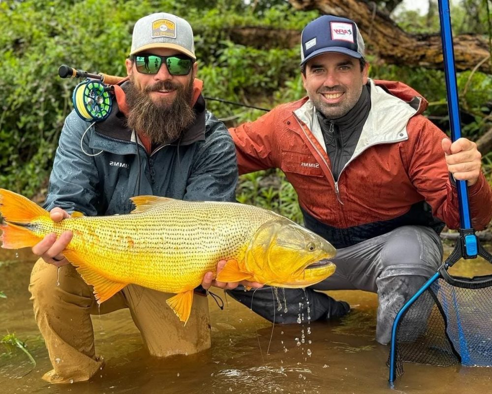 Golden Dorado Don Joaquin River Lodge