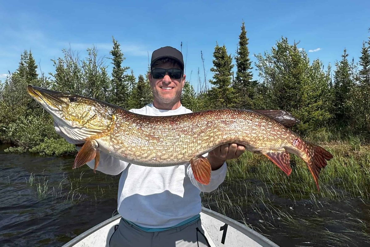 Pike fishing at Hatchet Lake Lodge in Saskatchewan Canada