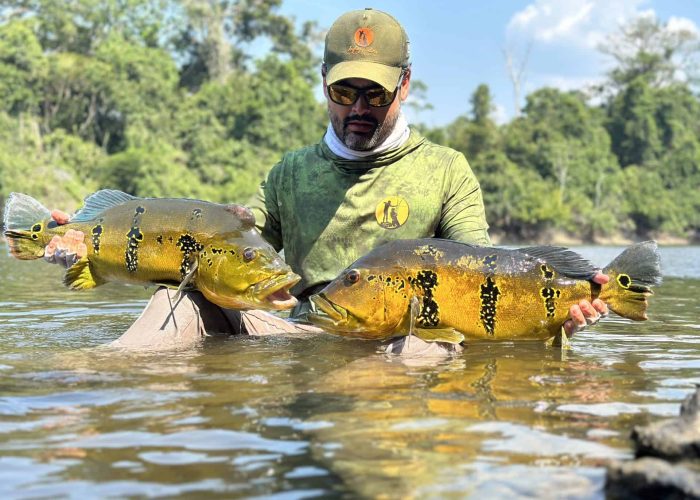 peacock bass fishing the amazon jungle