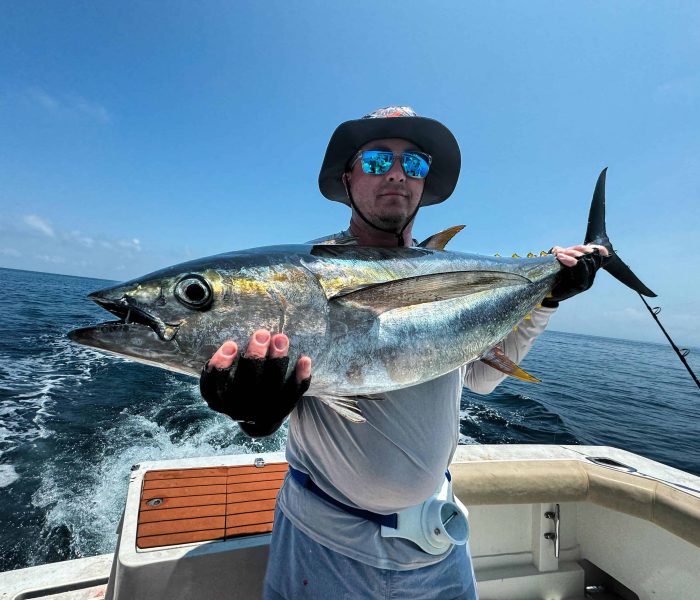 Tuna caught at bahia solano
