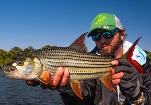 fishing the chobe river near botswana