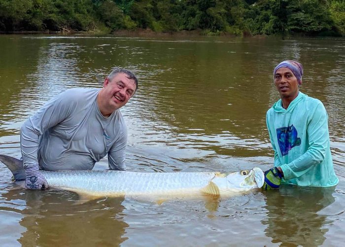 releasing a tarpon in the jungle tarpon reserve