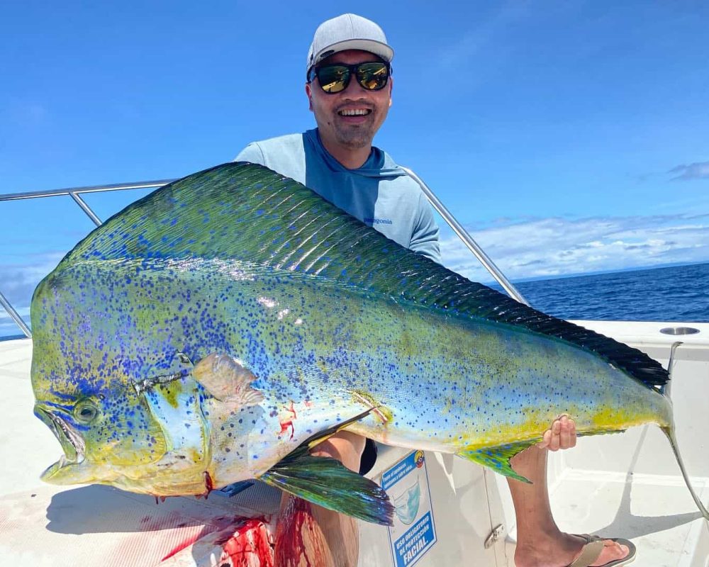 Mahi Mahi Darien Lodge