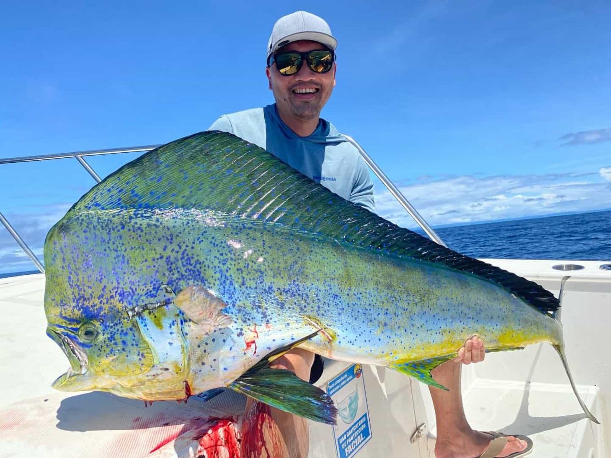 Mahi Mahi Darien Lodge