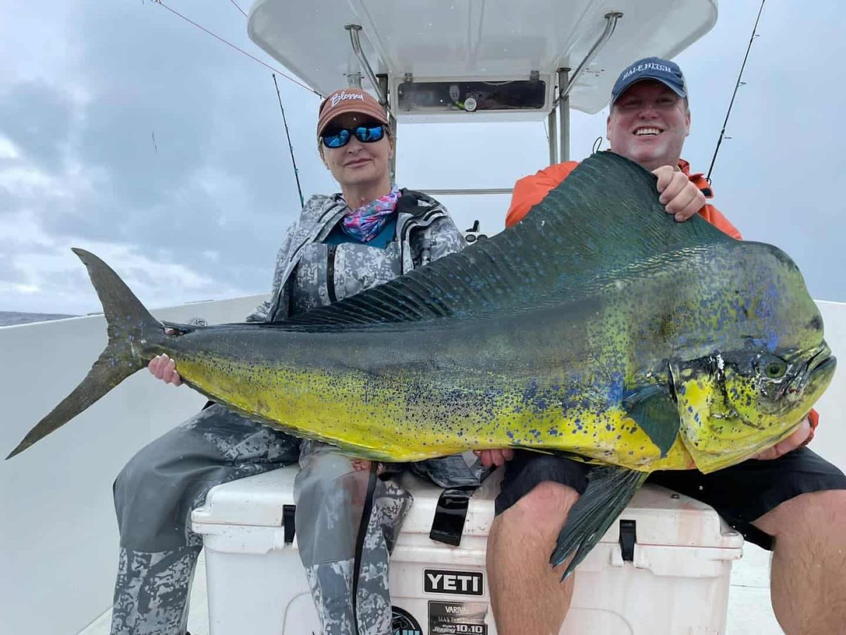 Mahi Mahi Darien Lodge