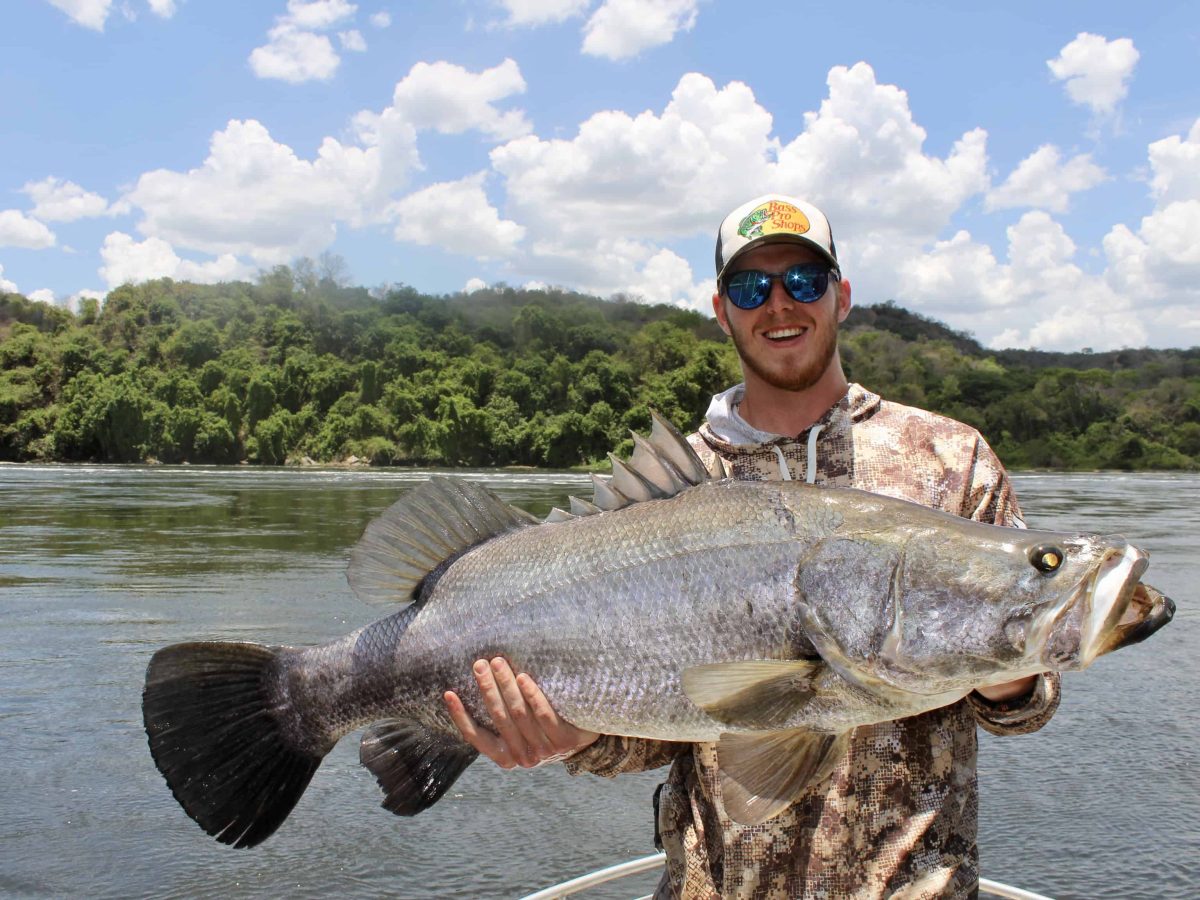 Murchison Falls Nile Perch
