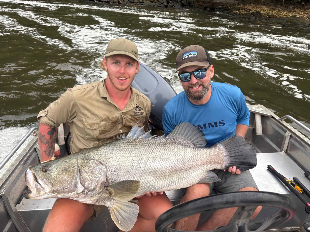 Murchison Falls Nile Perch