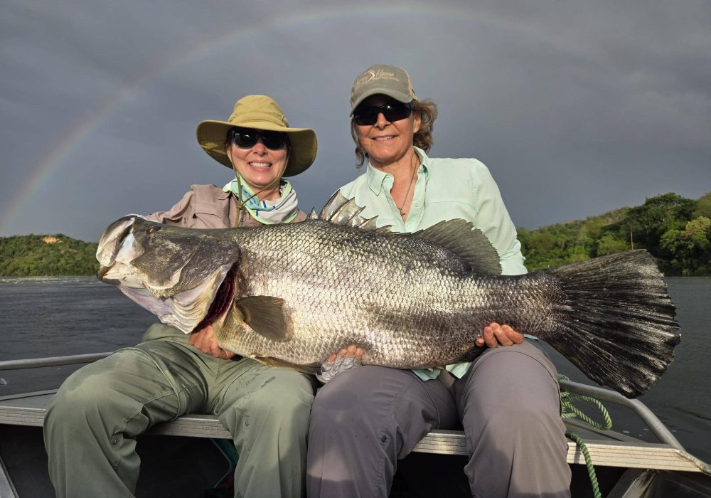 Murchison Falls Nile Perch