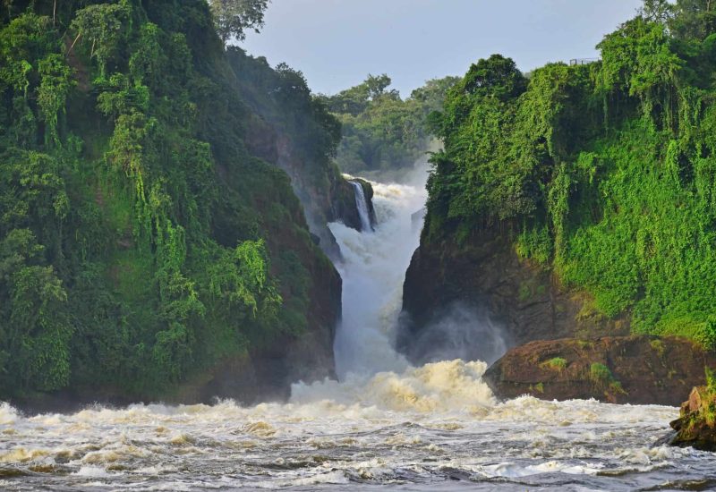 Murchison Falls National Park Fishing