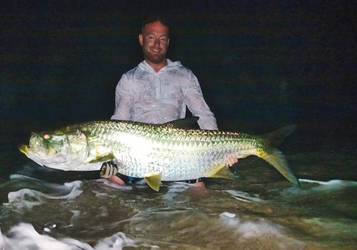 Tarpon fishing in Gabon